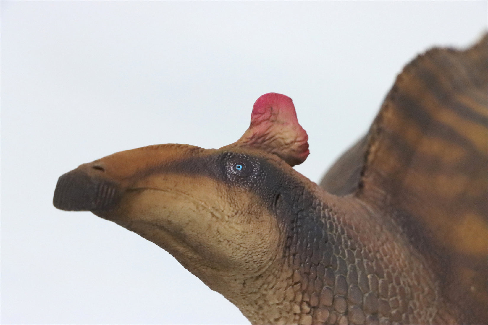 PNSO Edmontosaurus Zabad Model