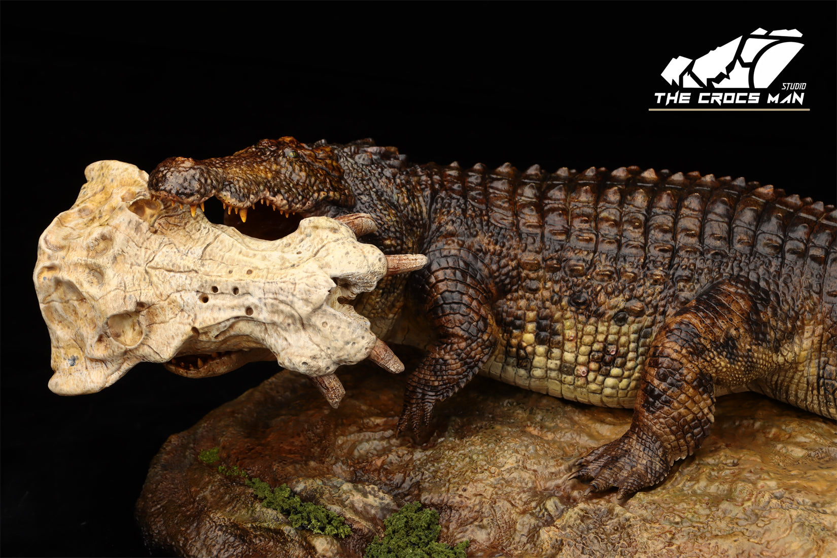 The Crocs Man Studio Nile Crocodile Gustave Model