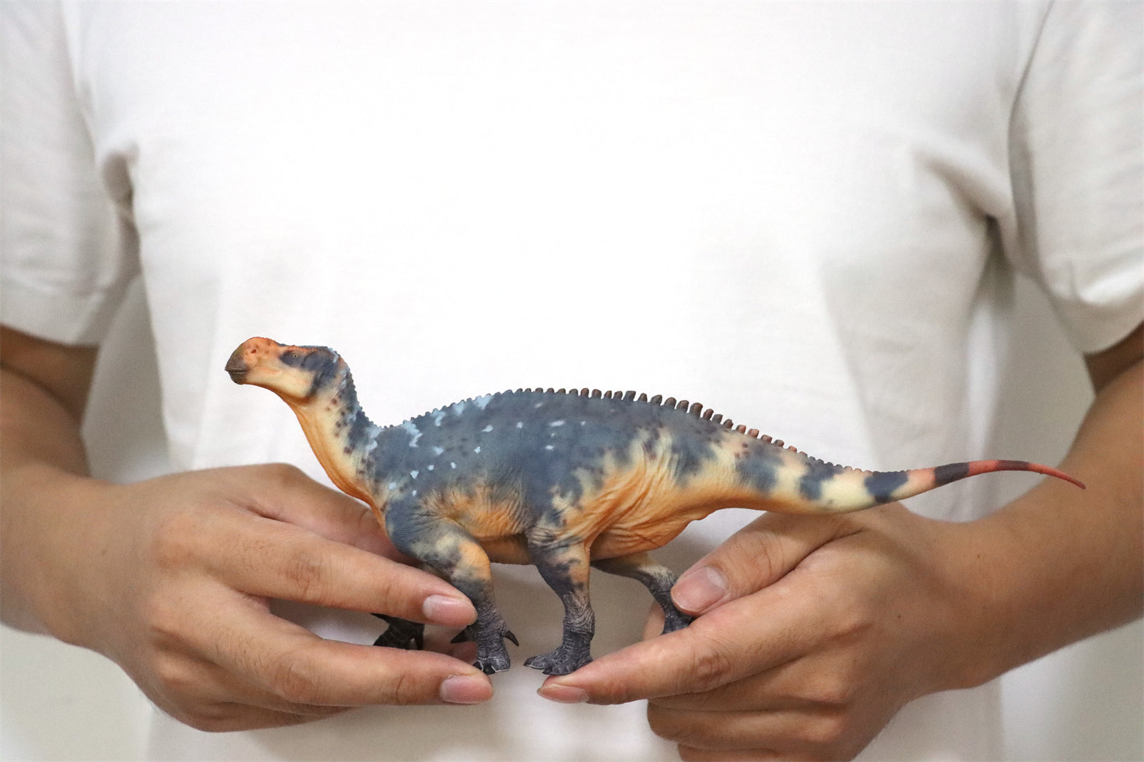 HAOLONGGOOD 1:35 Scale Iguanodon Model