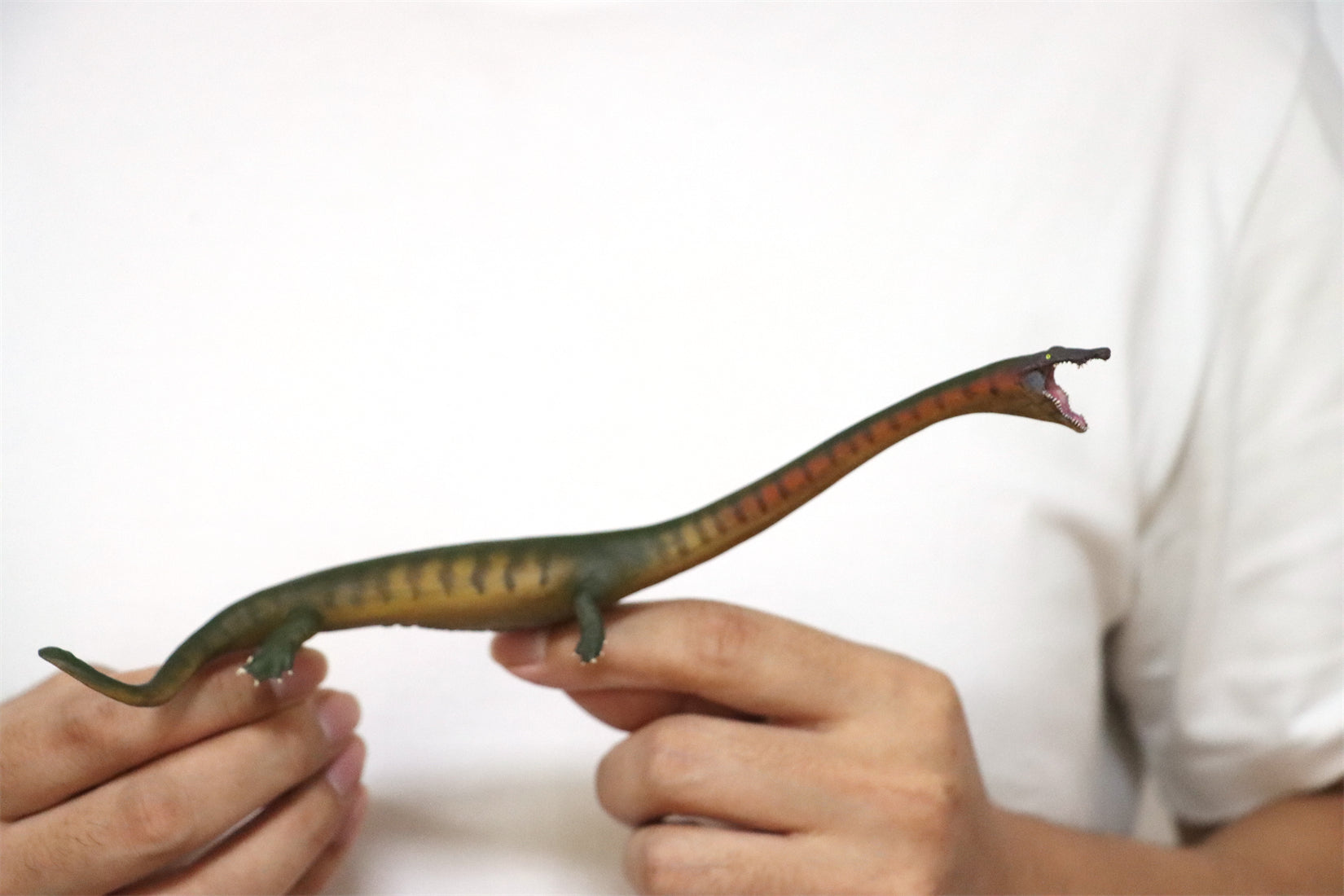 PNSO 91 Xiaochong Dinocephalosaurus Model