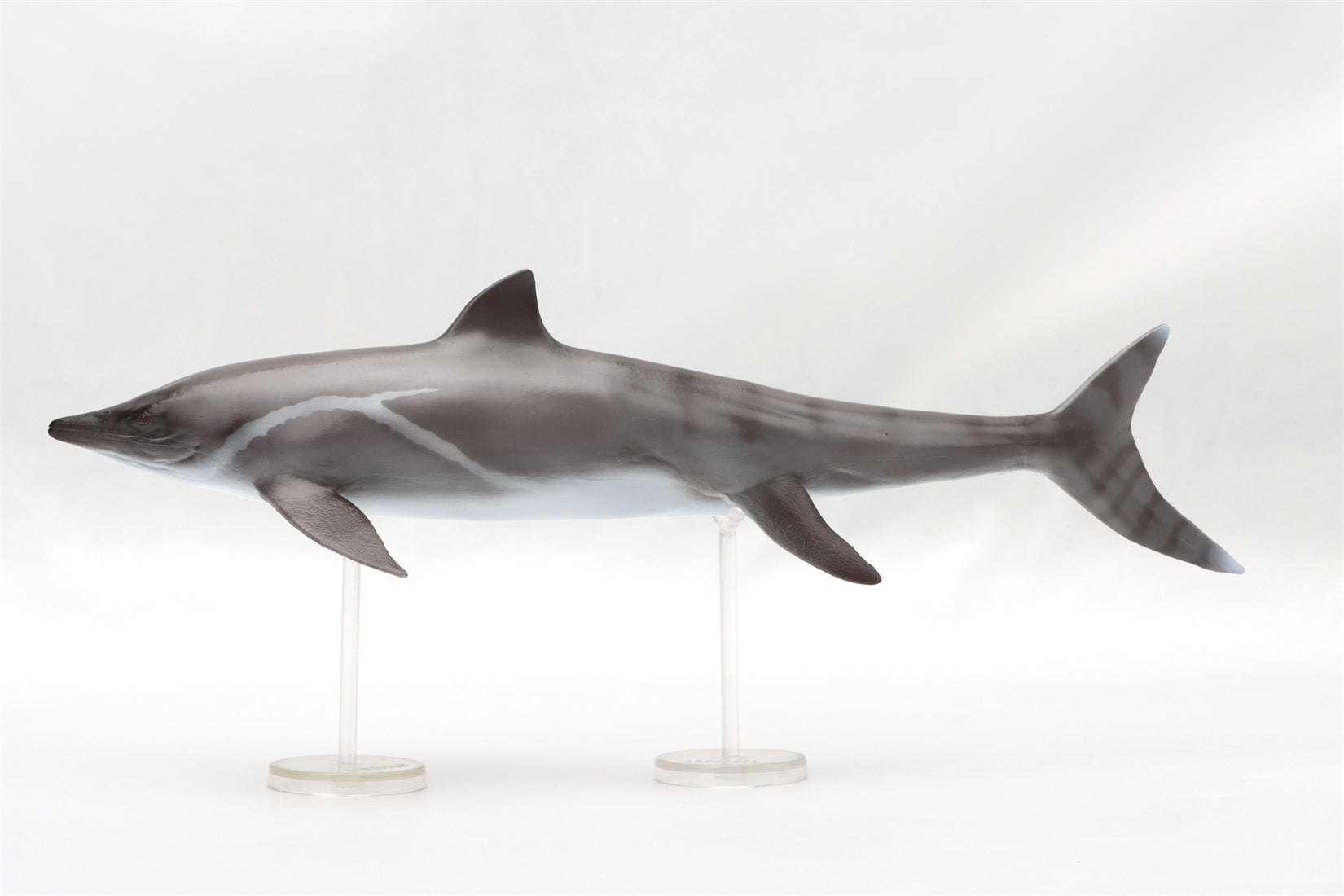 PNSO 92 Yuanlin Guanlingsaurus Model