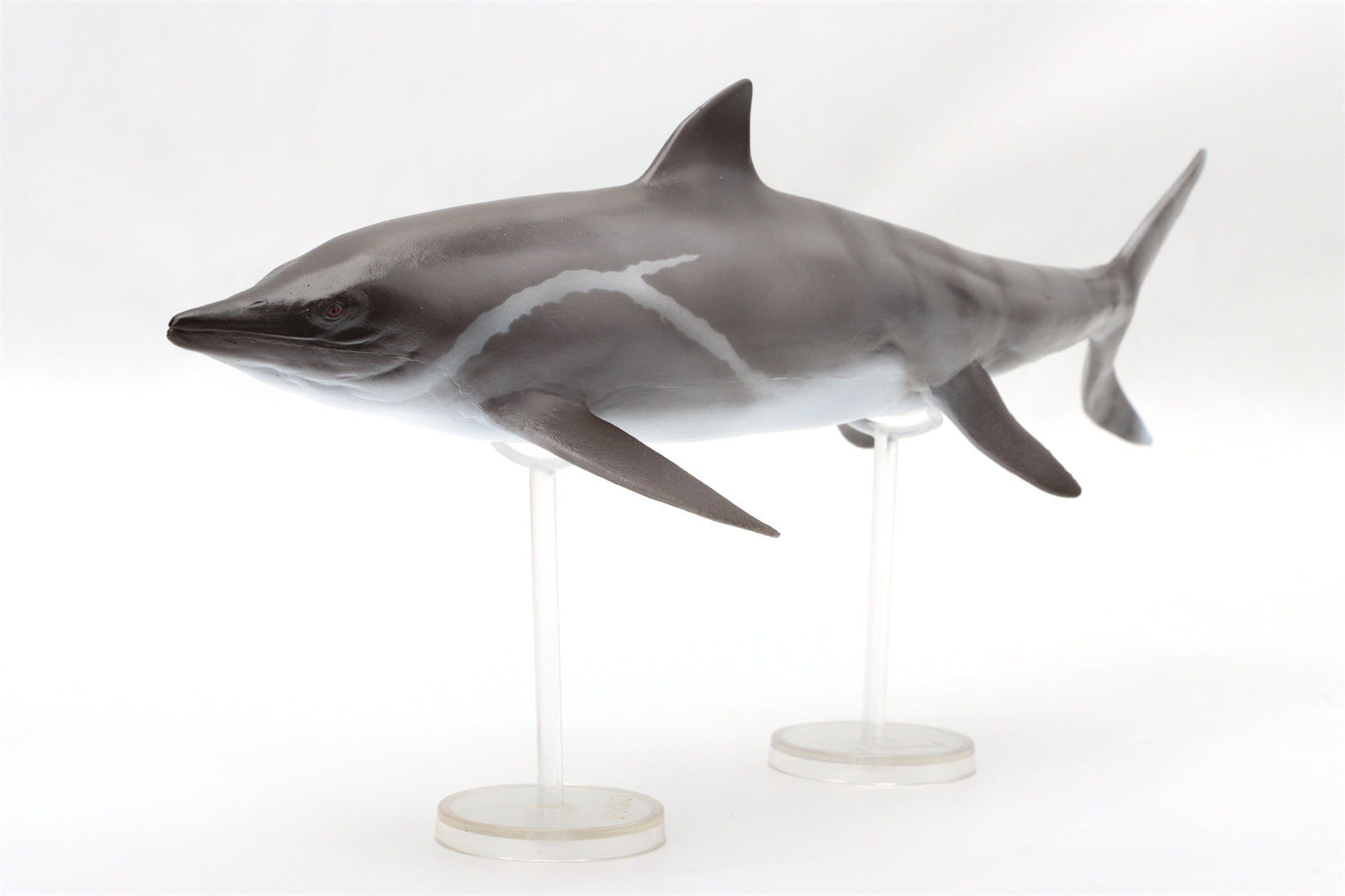 PNSO 92 Yuanlin Guanlingsaurus Model