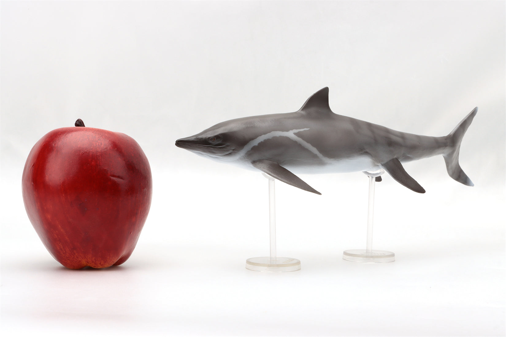 PNSO 92 Yuanlin Guanlingsaurus Model