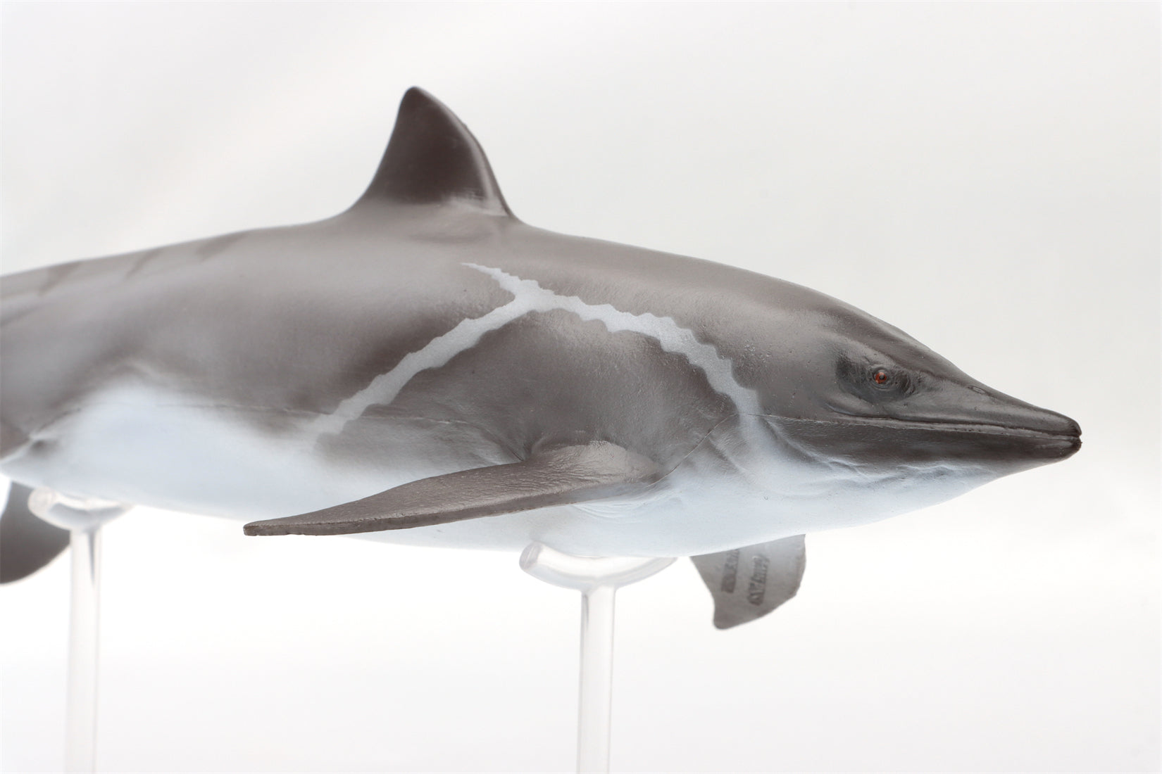 PNSO 92 Yuanlin Guanlingsaurus Model