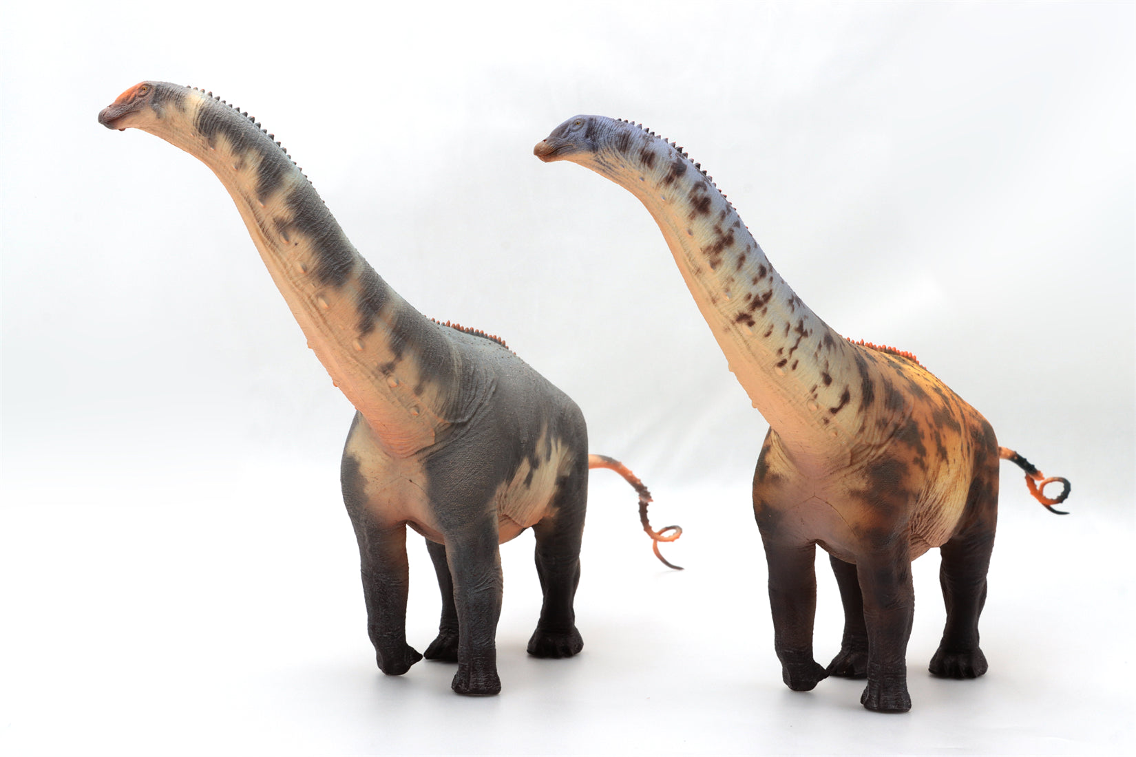 HAOLONGGOOD 1:35 Scale Brontosaurus Model