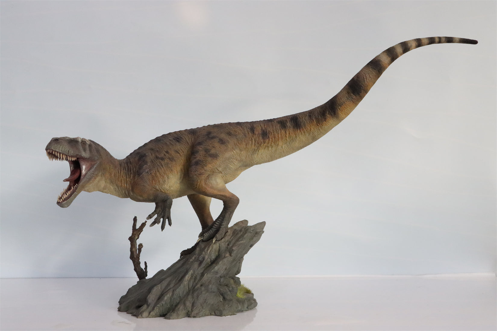 1:18 Scale Torvosaurus Scene Model