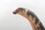 HAOLONGGOOD 1:35 Scale Brontosaurus Model