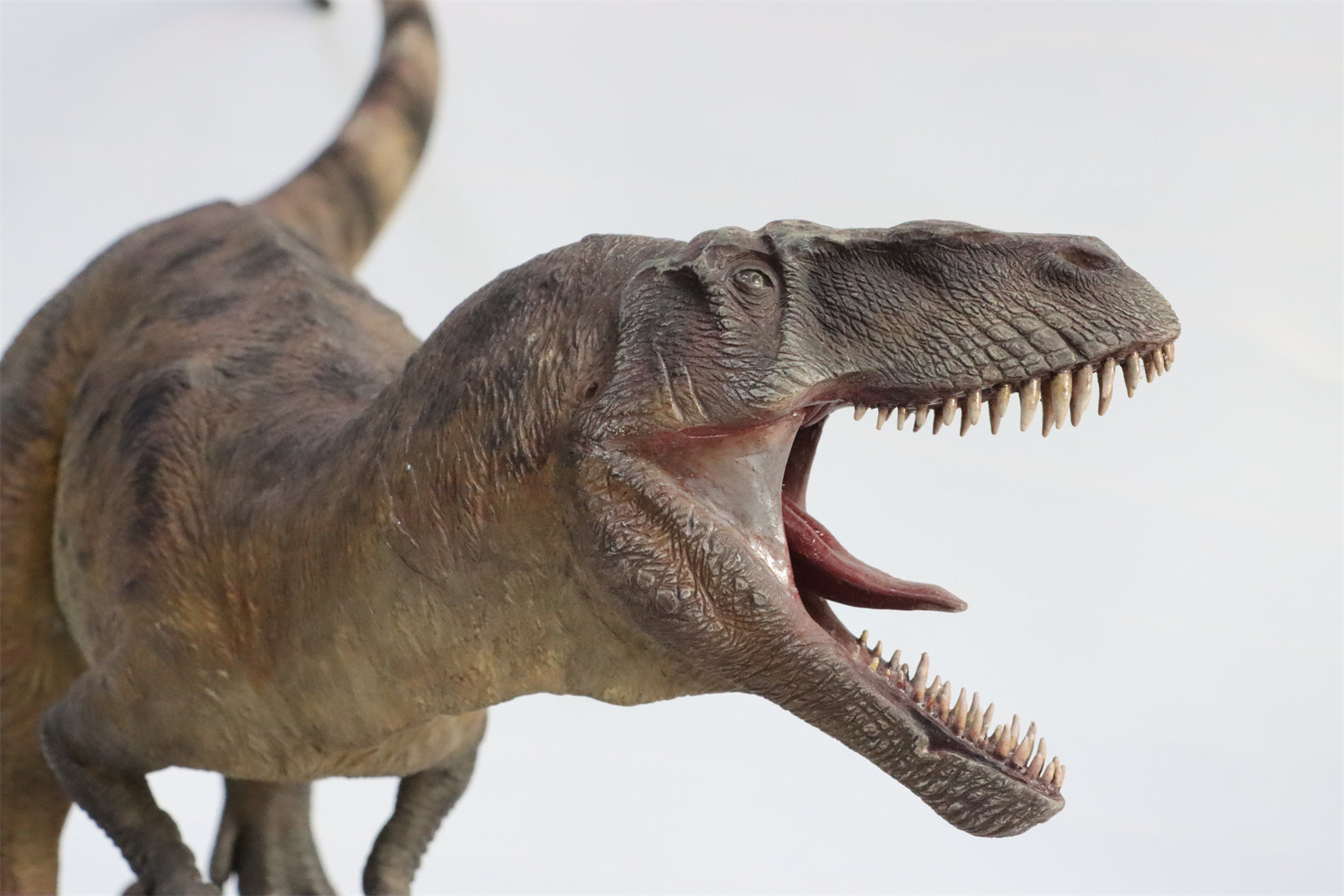 1:18 Scale Torvosaurus Scene Model