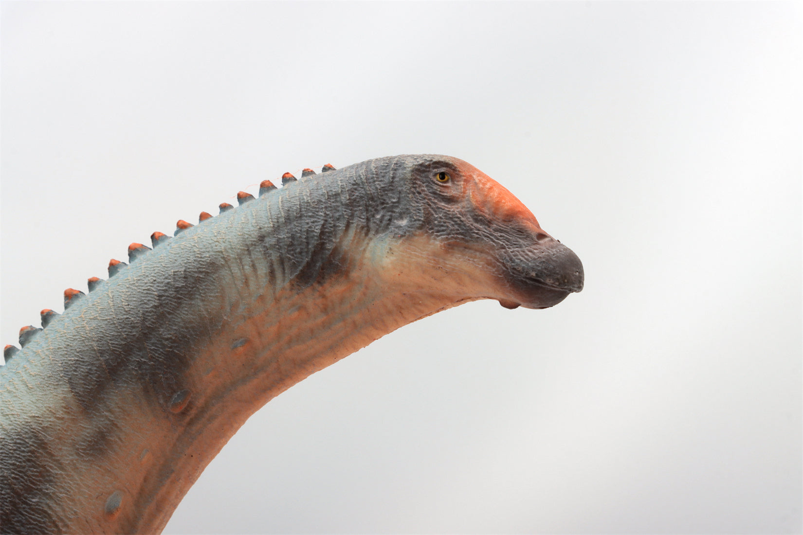 HAOLONGGOOD 1:35 Scale Brontosaurus Model