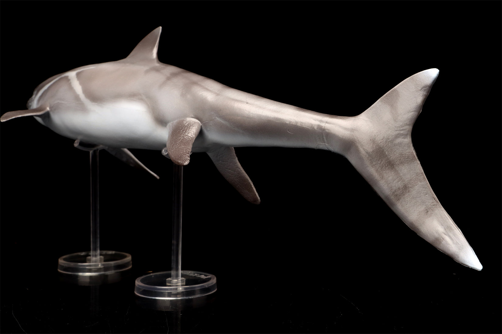 PNSO 92 Yuanlin Guanlingsaurus Model