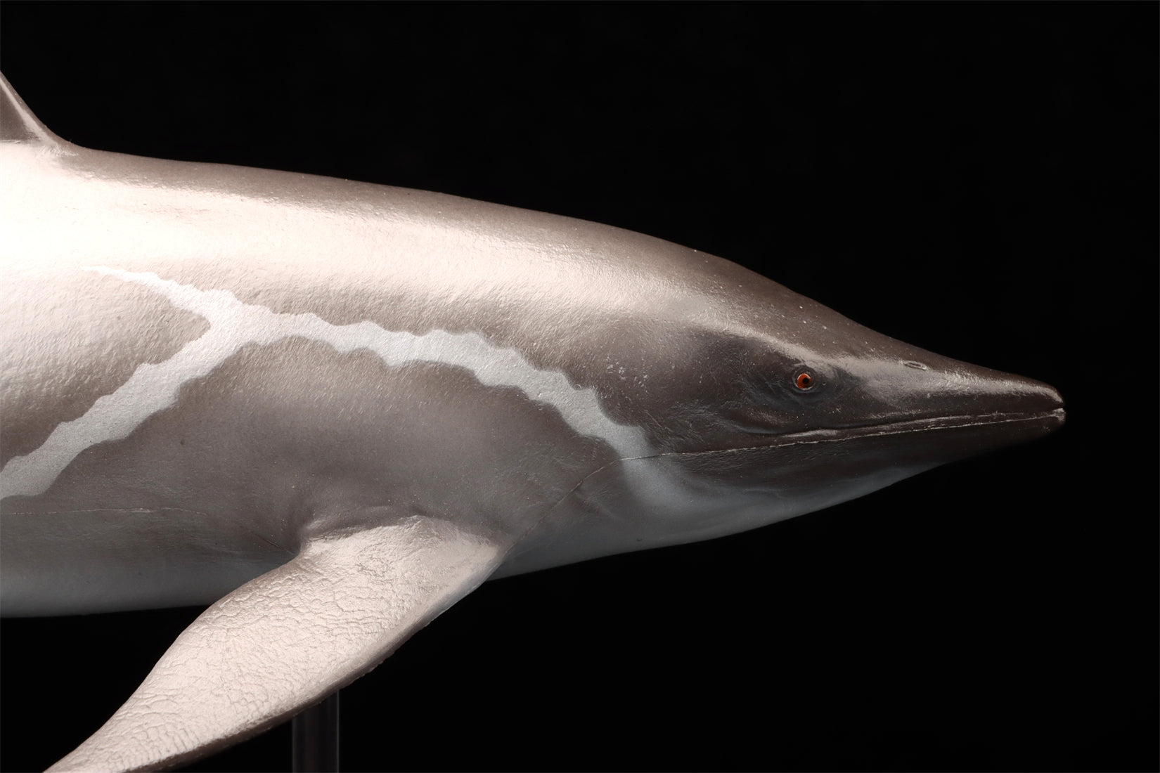 PNSO 92 Yuanlin Guanlingsaurus Model