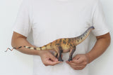 HAOLONGGOOD 1:35 Scale Brontosaurus Model