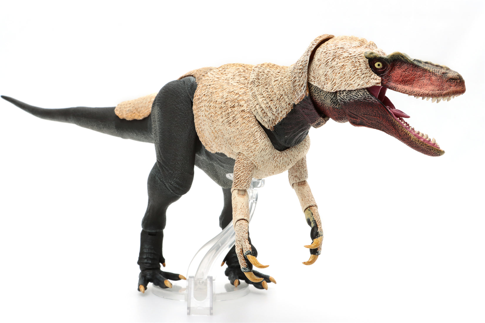 Beasts of the Mesozoic Dryptosaurus aquilunguis- 1/18th scale