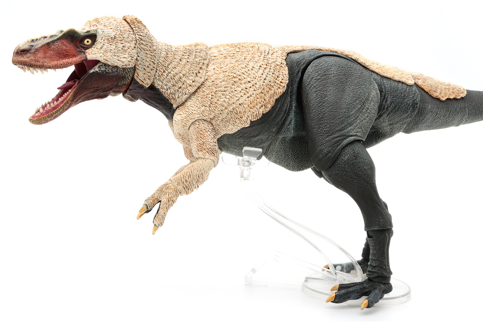 Beasts of the Mesozoic Dryptosaurus aquilunguis- 1/18th scale