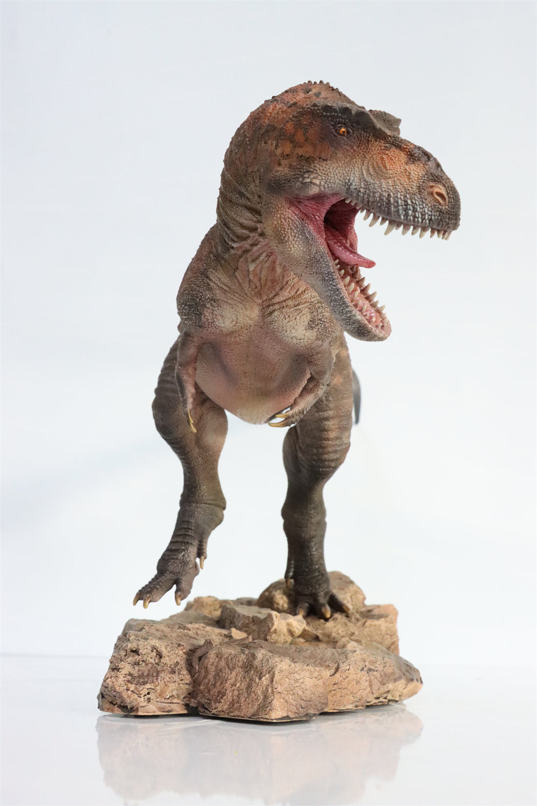 HAOLONGGOOD 1:20 Scale Daspletosaurus Model