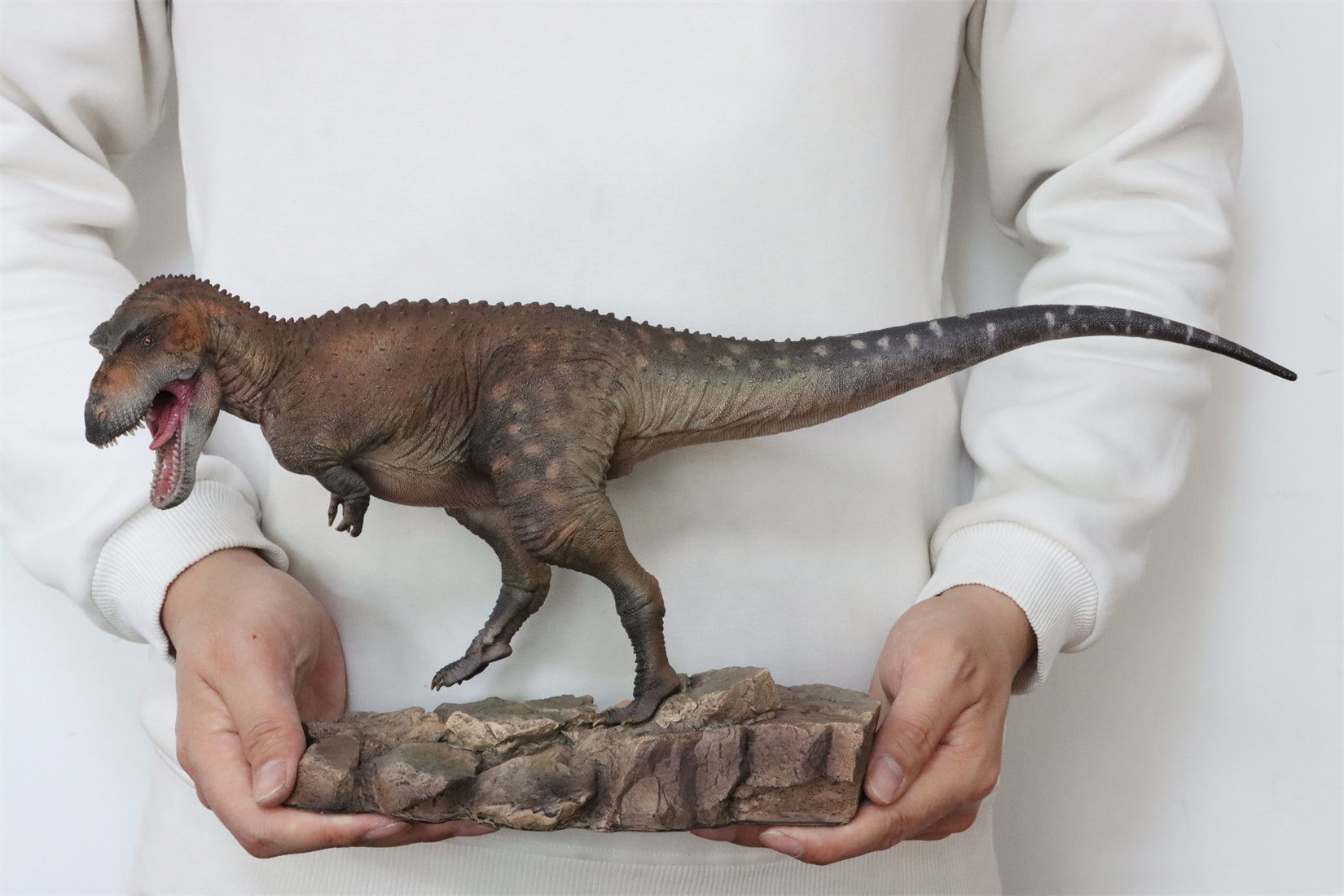 HAOLONGGOOD 1:20 Scale Daspletosaurus Model