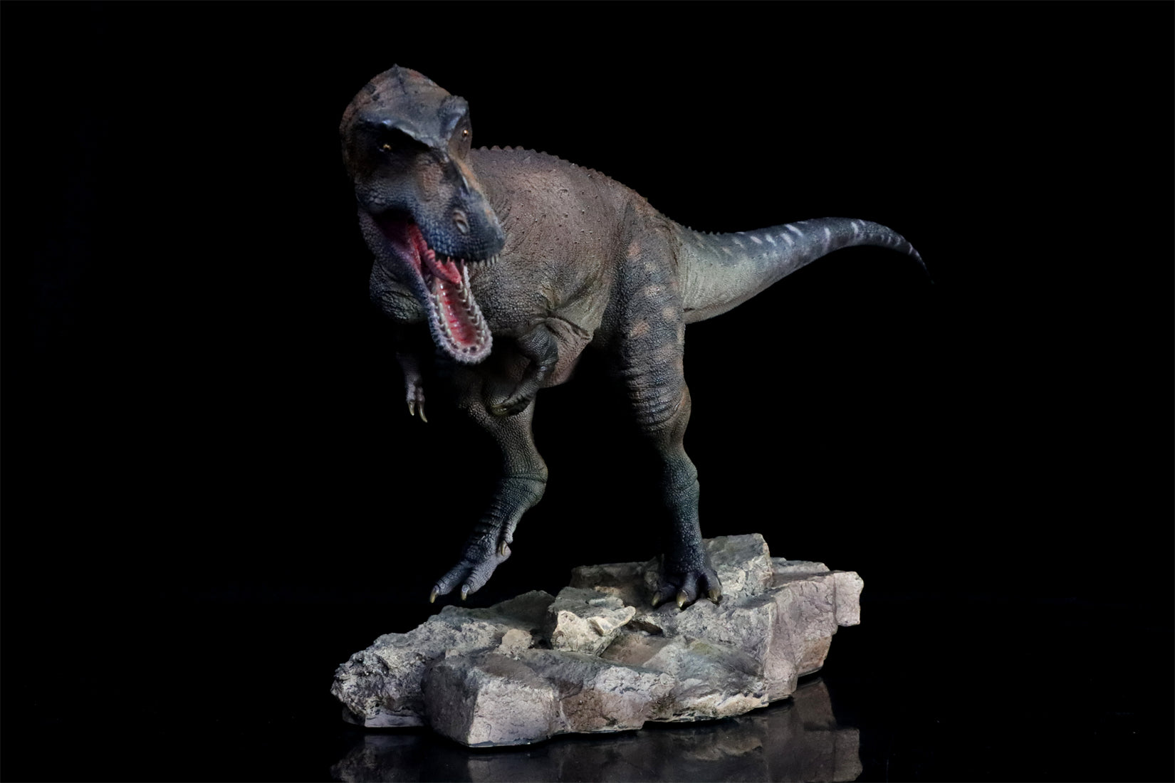 HAOLONGGOOD 1:20 Scale Daspletosaurus Model