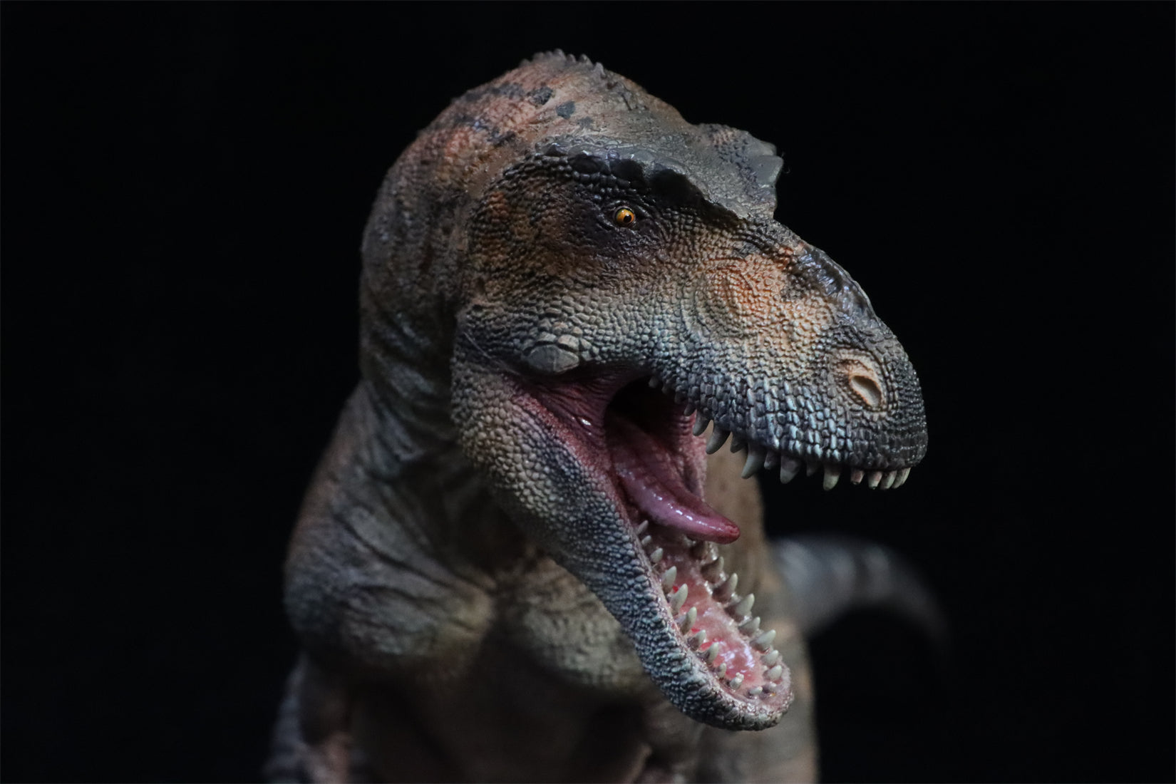 HAOLONGGOOD 1:20 Scale Daspletosaurus Model