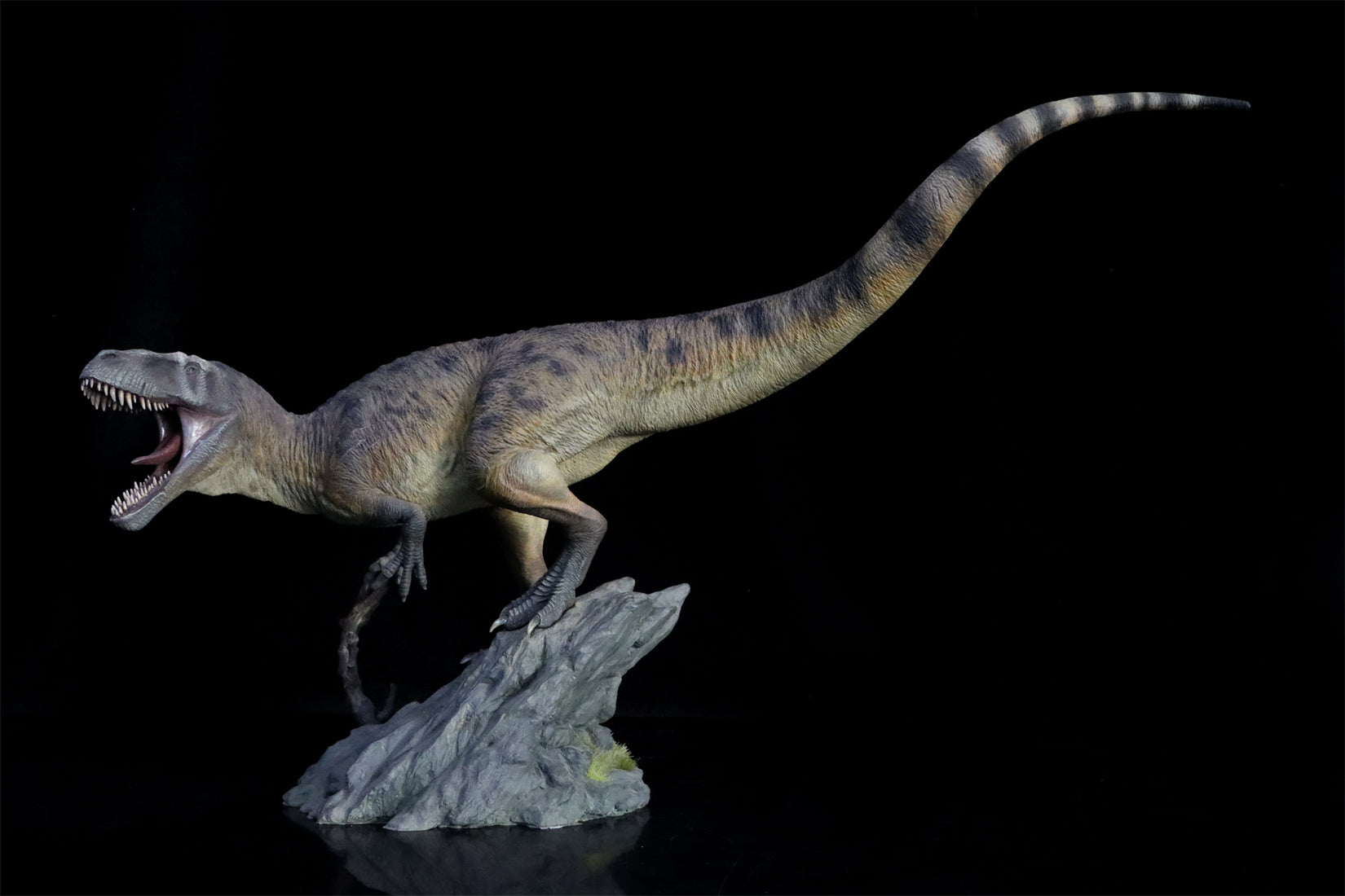 1:18 Scale Torvosaurus Scene Model