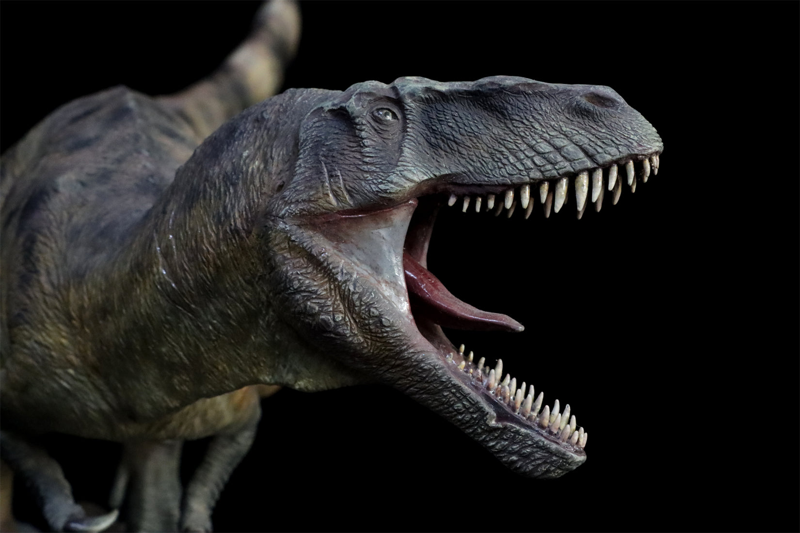 1:18 Scale Torvosaurus Scene Model
