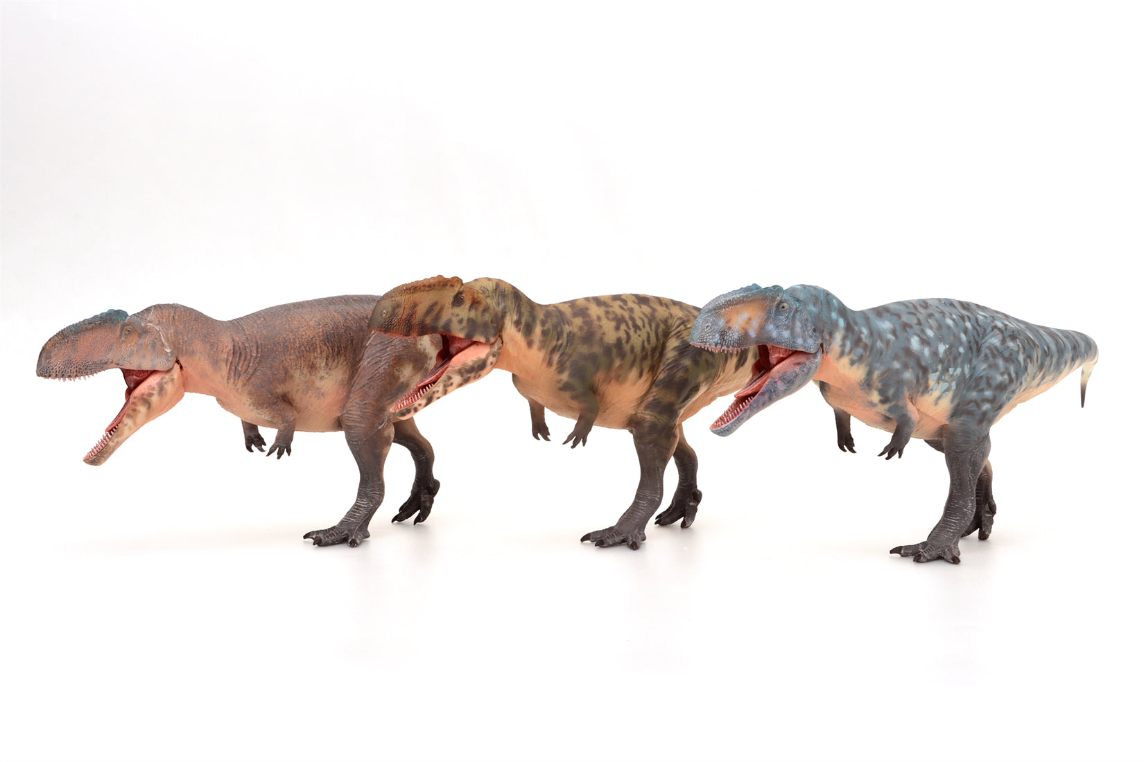 HAOLONGGOOD 1:35 Scale Giganotosaurus Model