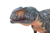 HAOLONGGOOD 1:35 Scale Giganotosaurus Model