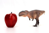 HAOLONGGOOD 1:35 Scale Giganotosaurus Model