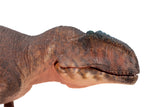 HAOLONGGOOD 1:35 Scale Giganotosaurus Model