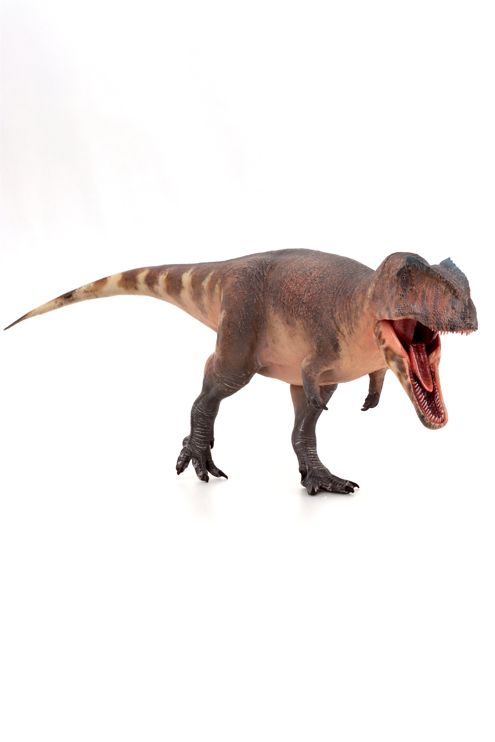 HAOLONGGOOD 1:35 Scale Giganotosaurus Model