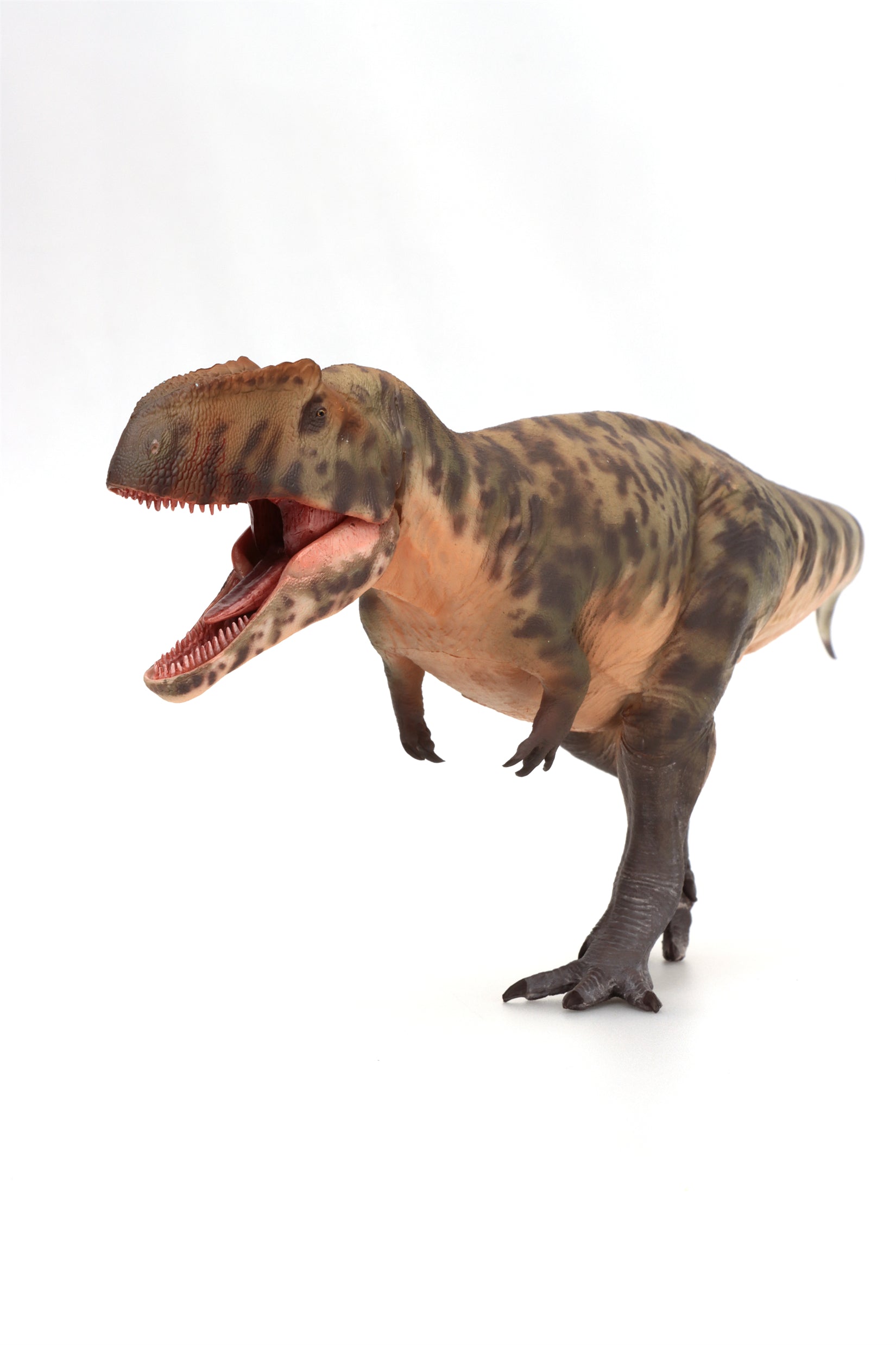 HAOLONGGOOD 1:35 Scale Giganotosaurus Model