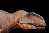 HAOLONGGOOD 1:35 Scale Giganotosaurus Model