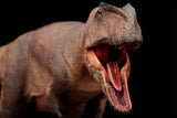 HAOLONGGOOD 1:35 Scale Giganotosaurus Model