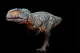 HAOLONGGOOD 1:35 Scale Giganotosaurus Model