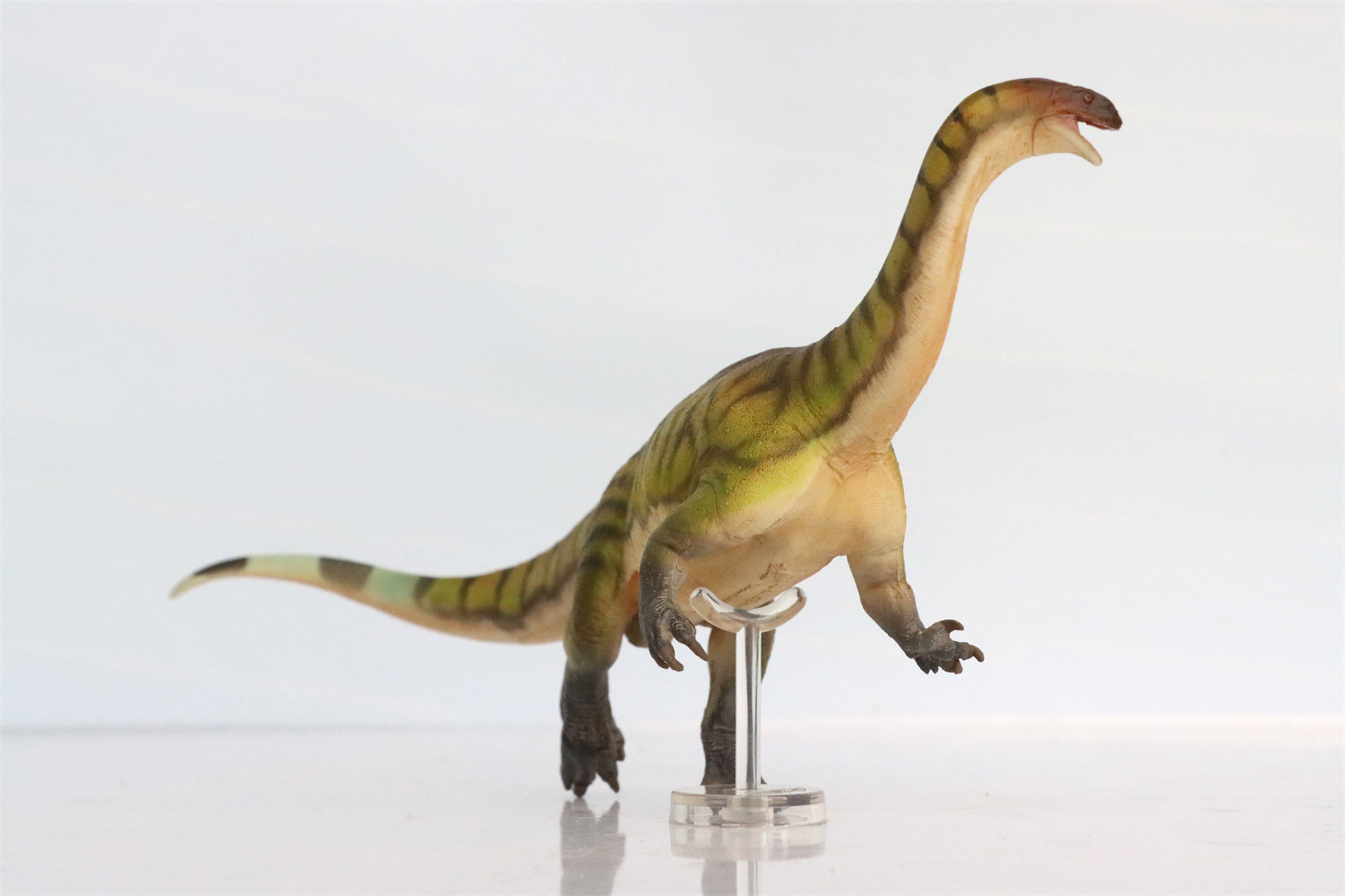 PNSO Lufengosaurus Yiran Model