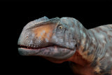 HAOLONGGOOD 1:35 Scale Giganotosaurus Model