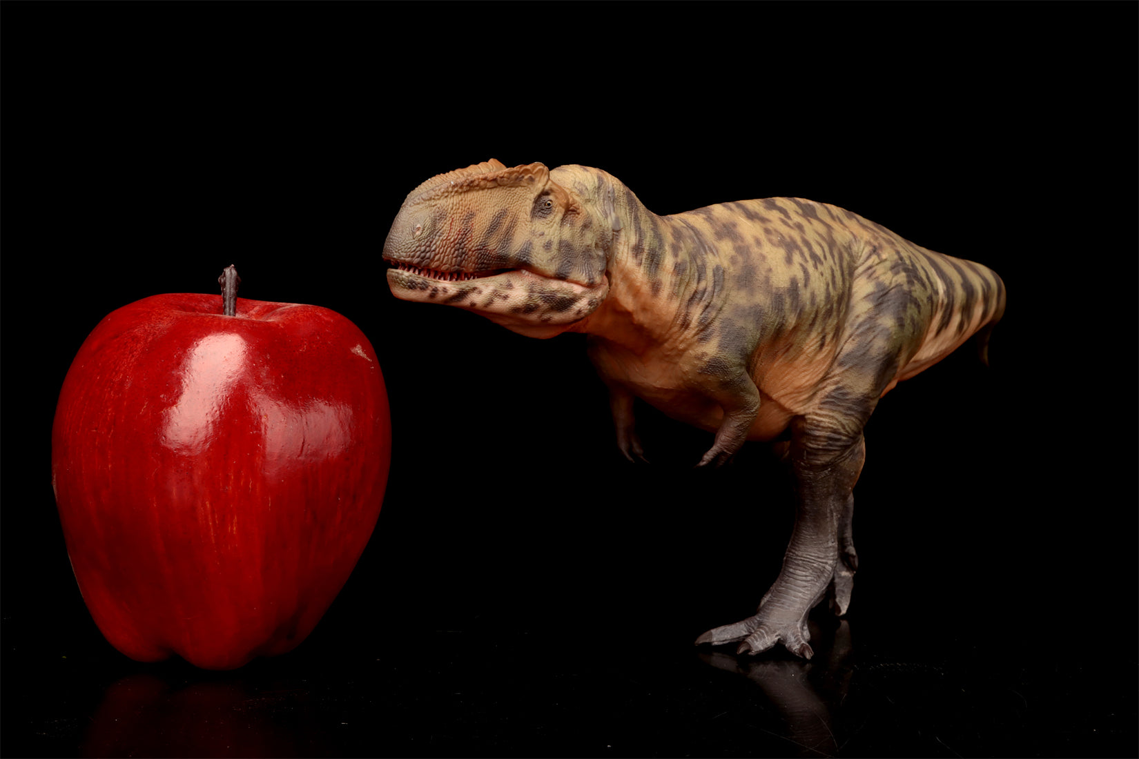 HAOLONGGOOD 1:35 Scale Giganotosaurus Model
