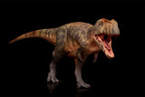 HAOLONGGOOD 1:35 Scale Giganotosaurus Model