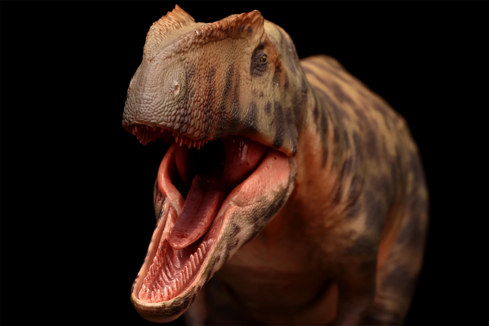 HAOLONGGOOD 1:35 Scale Giganotosaurus Model
