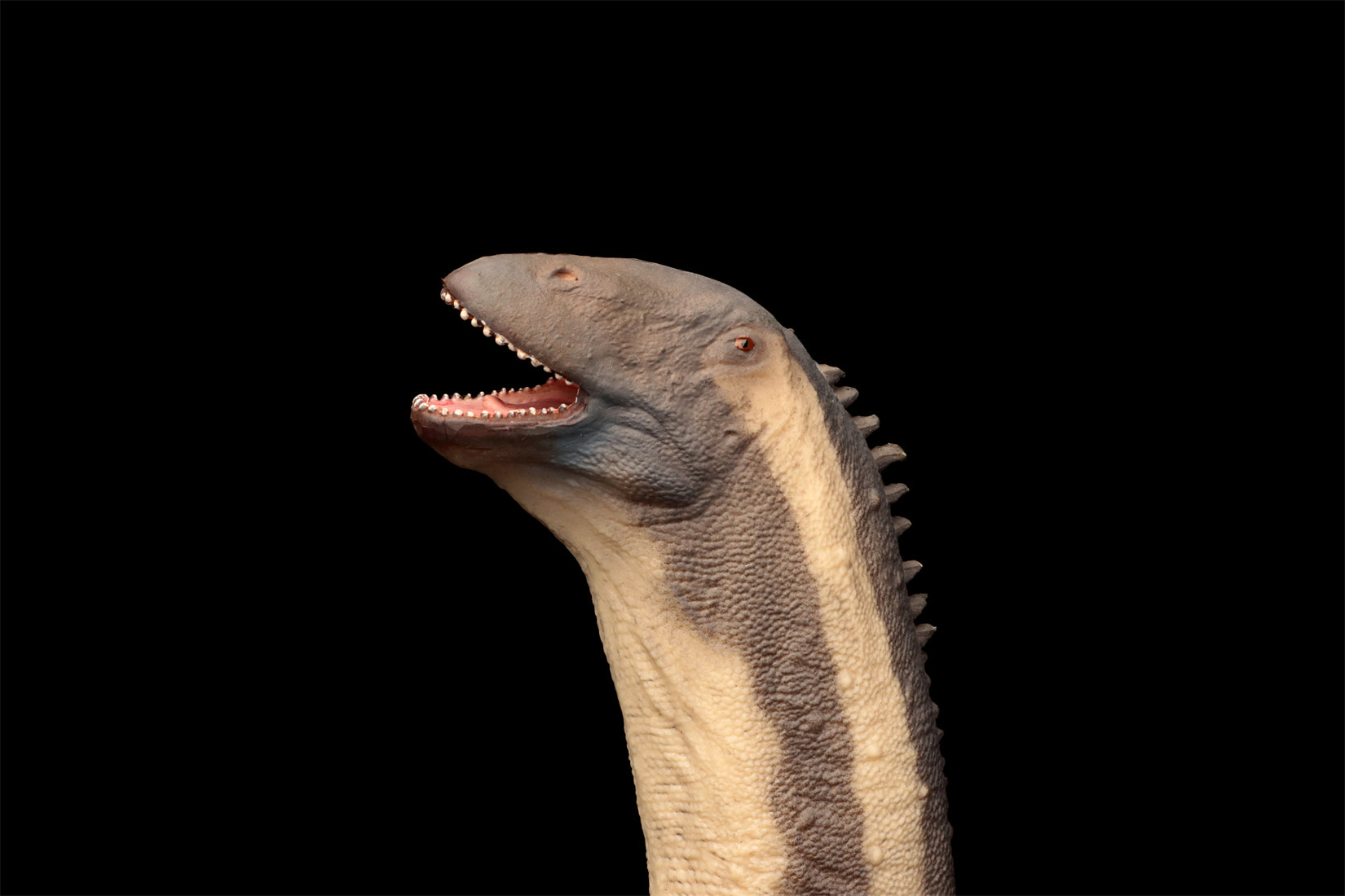 PNSO Hongkongsaurus Huigui 1:45 Scale Model