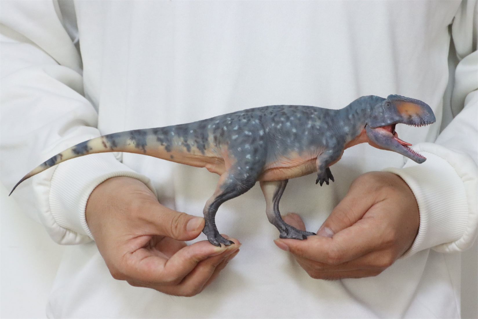 HAOLONGGOOD 1:35 Scale Giganotosaurus Model