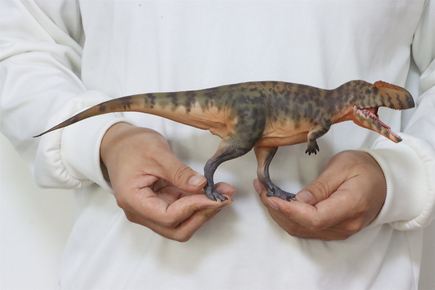 HAOLONGGOOD 1:35 Scale Giganotosaurus Model