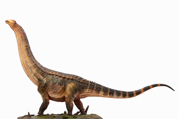 Anningpale 1:35 Scale Patagotitan Model