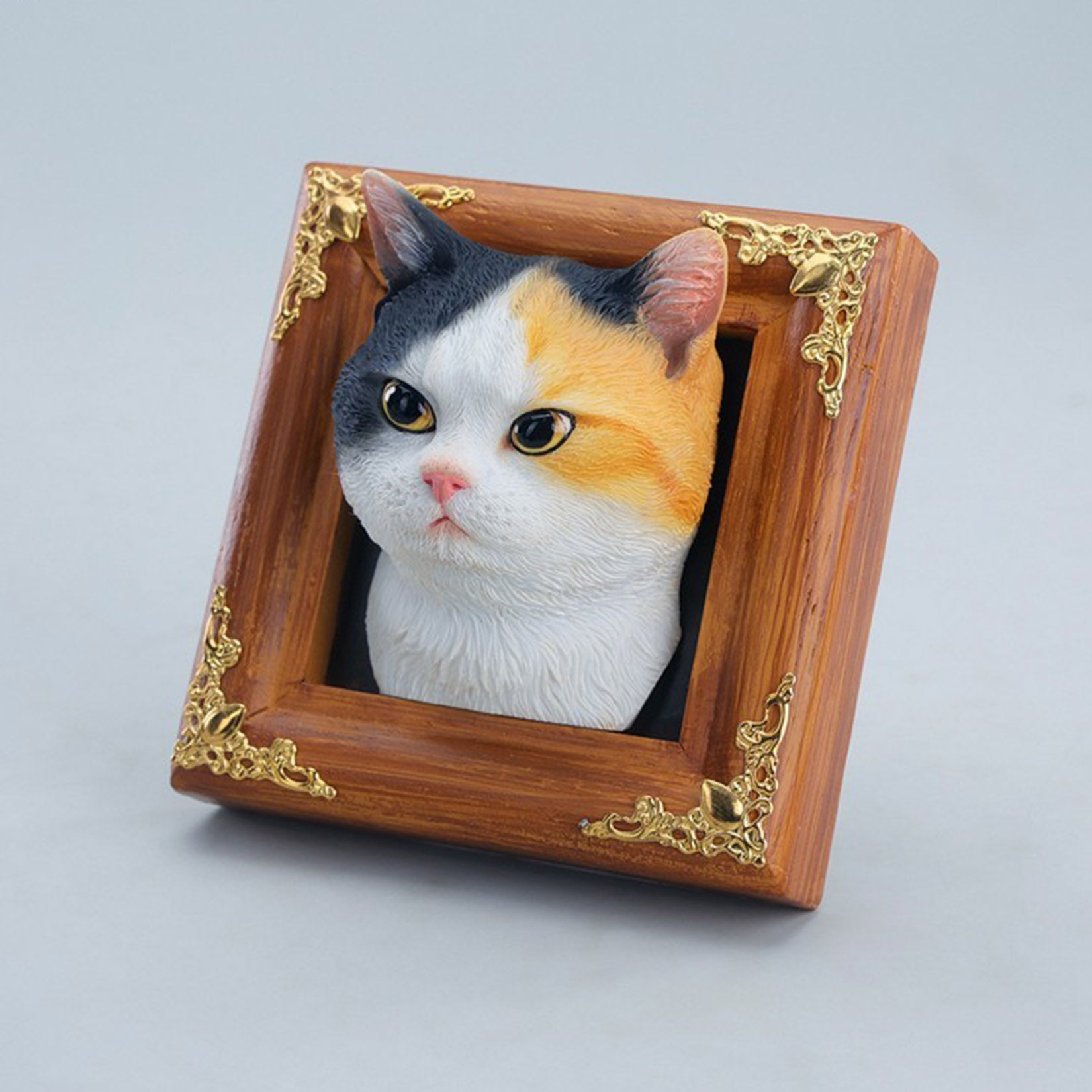 JXK Studio Gentle-eyed Country Cat Model