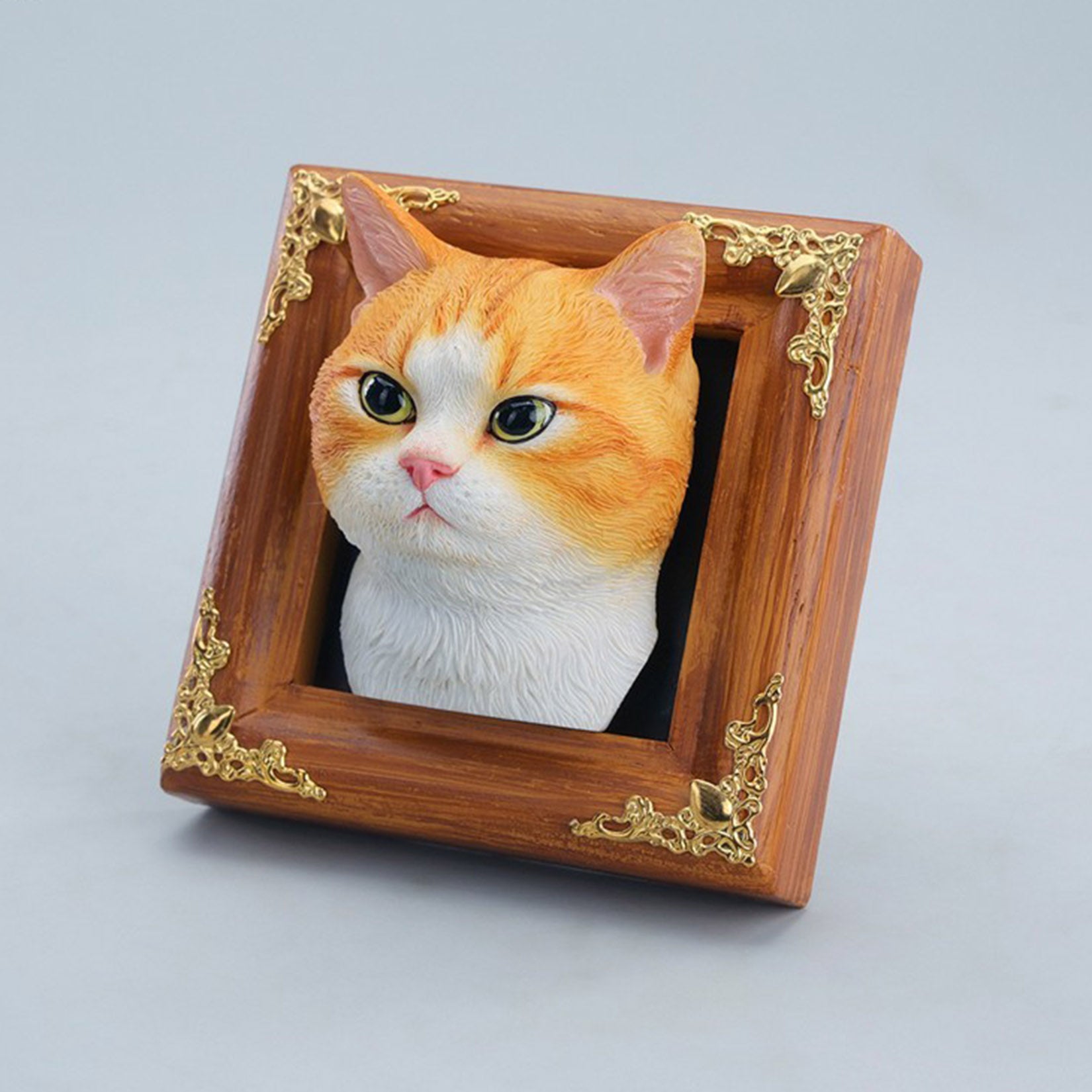 JXK Studio Gentle-eyed Country Cat Model