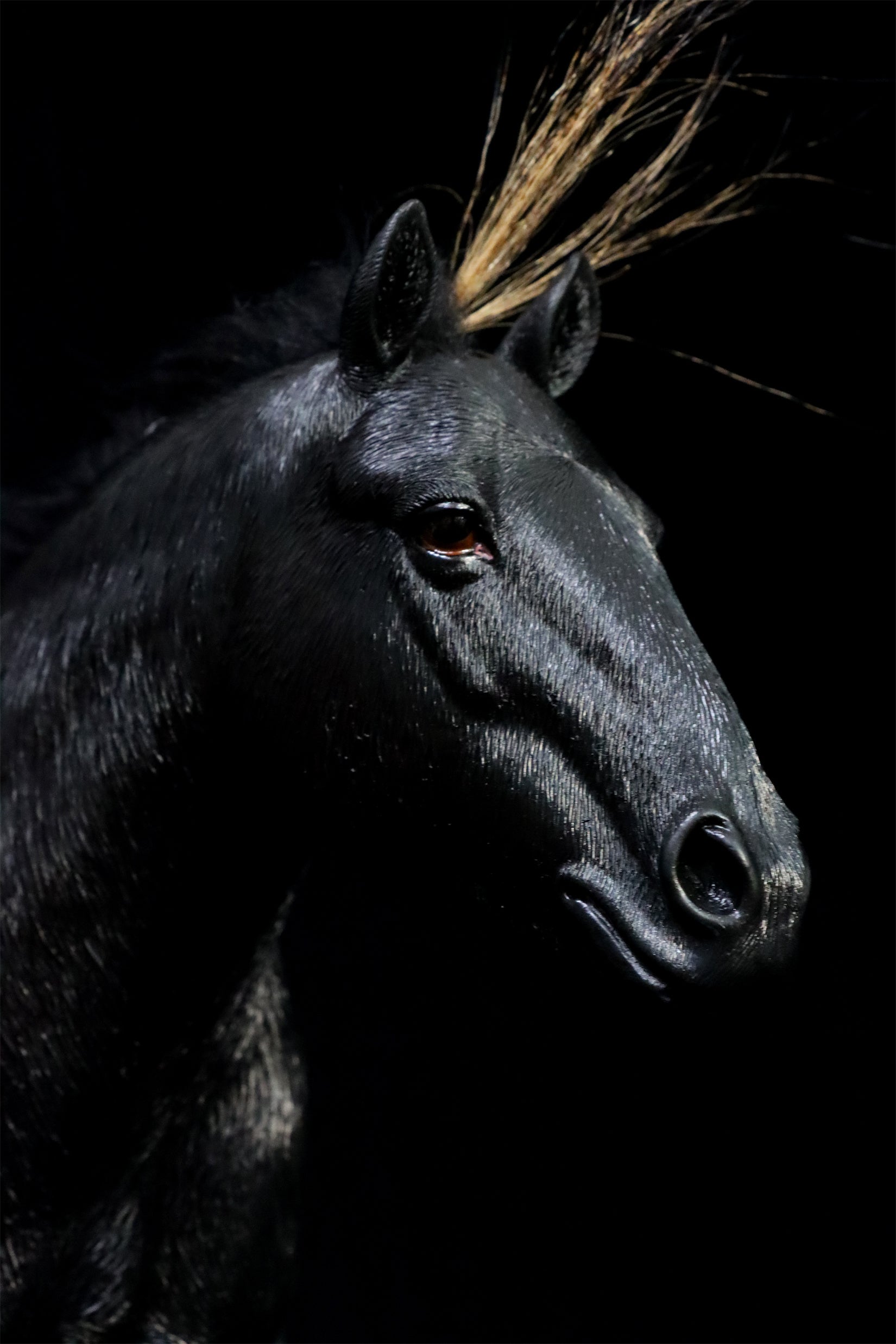 JXK 1/6 Mongolian Horse Model