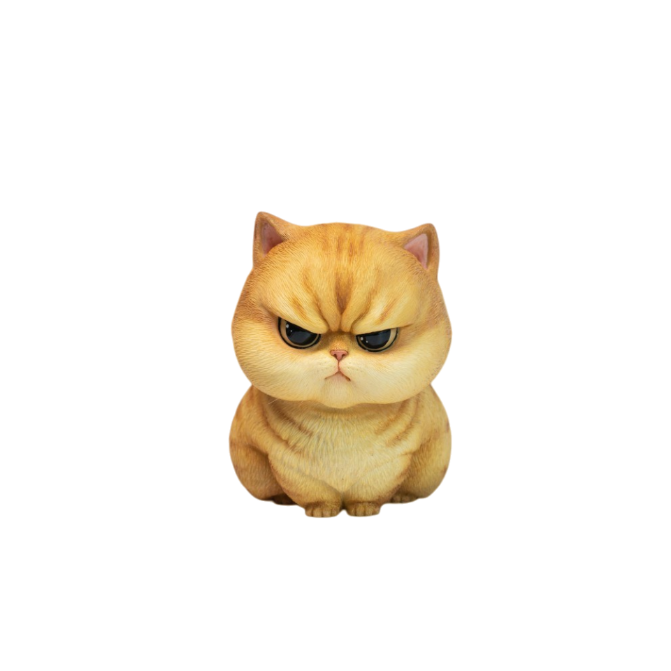 JXK Chirp Cats Model