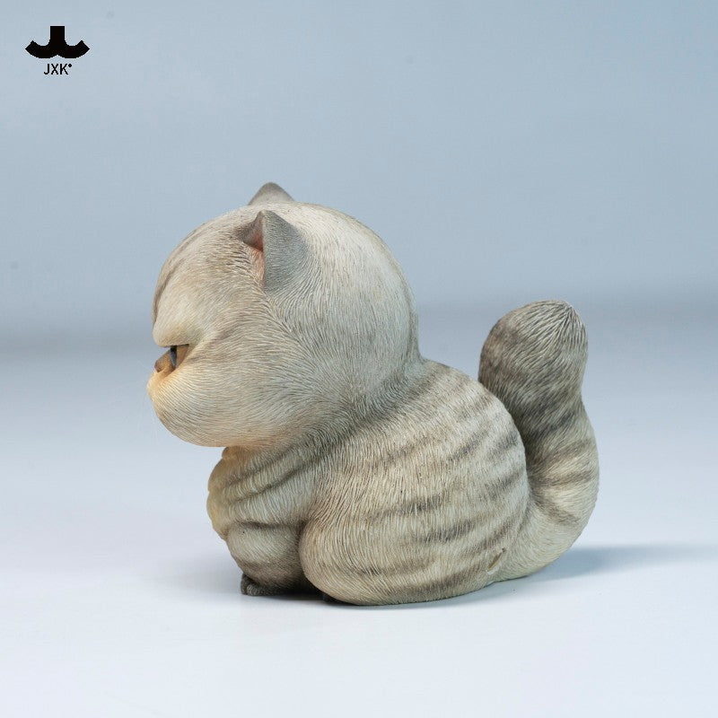 JXK Chirp Cats Model
