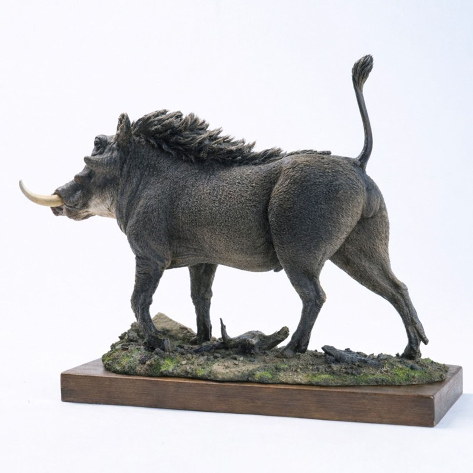JXK Studio Warthog Animal Model