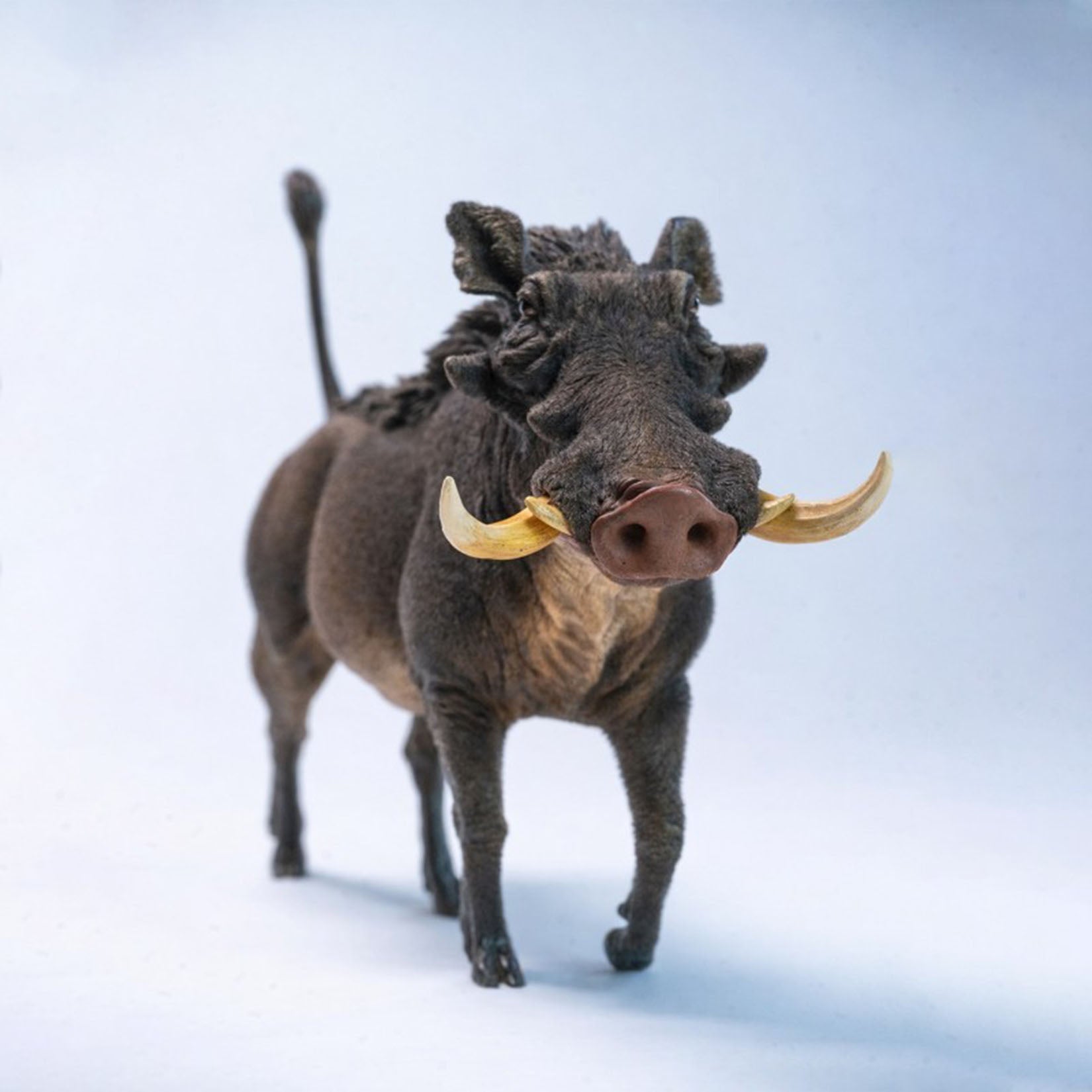 JXK Studio Warthog Animal Model
