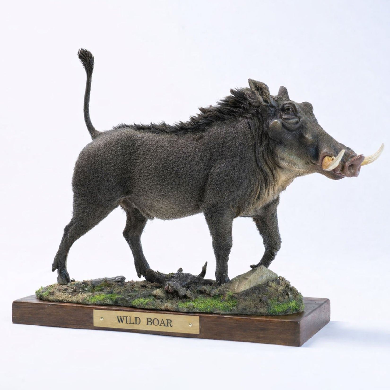 JXK Studio Warthog Animal Model